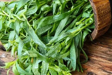 تصویر 5 از نرخ روز سبزی ترخون خشک + خرید مطمئن